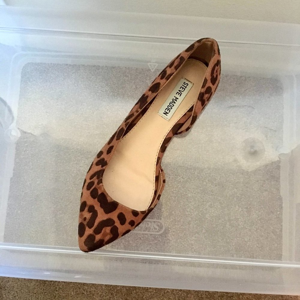 Steve Madden  Leopard Print, Cheetah Print Edana Flats